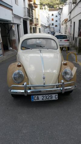 Volkswagen escarabajo 