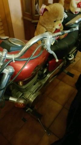 SUZUKI LS 650 SAVAGE (