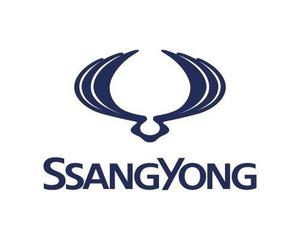 RECAMBIOS NUEVOS SSANGYONG