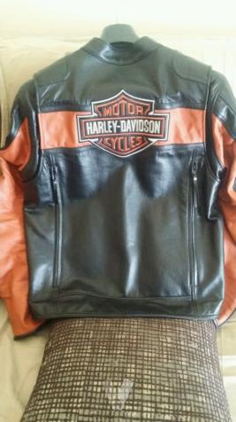 chaqueta de piel Harley Davidson