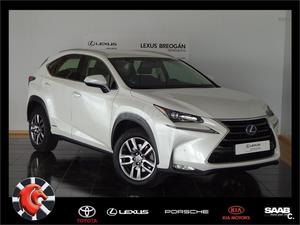 LEXUS NX 300h Executive 4WD Tecno 5p.