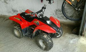 quads infantil