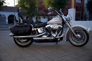 HARLEY DAVIDSON H Special -08