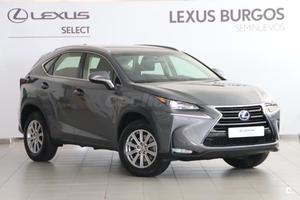 LEXUS NX h Business 2WD 5p.