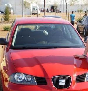 SEAT Ibiza 1.9 TDI 100cv RockRoll Sport -09