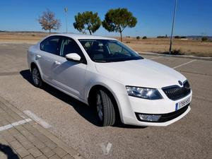 SKODA Octavia 1.6 TDI CR 105cv Ambition -13