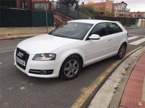 Audi A3 1.6 Tdi 105cv Attraction 3p. -12