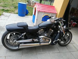 Harley Davidson V ROD MUSCLE