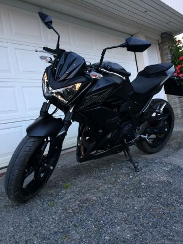 Kawasaki Z300