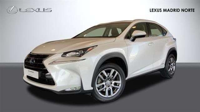 Lexus Nx 300 H Executive 4wd Tecno + Navibox